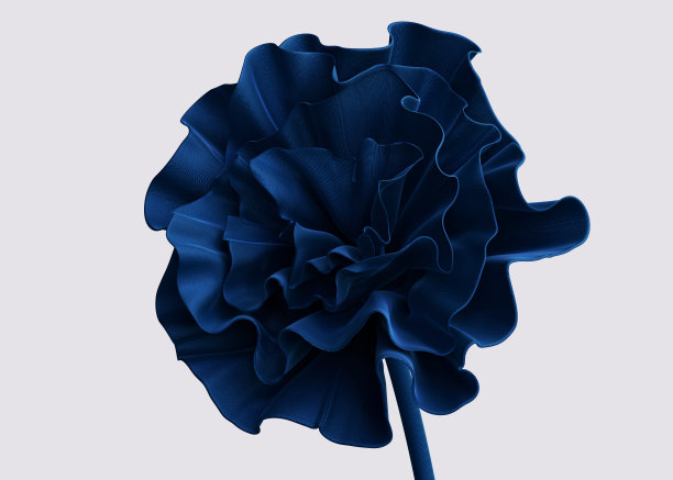 织物抽象花三维渲染。优雅的时尚配饰展示模板图片下载