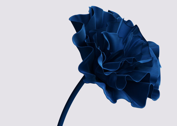 织物抽象花三维渲染。优雅的时尚配饰展示模板图片下载