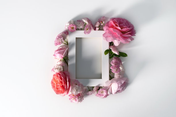 花框架的粉红色花在白色或粉红色的背景。平铺，俯视图。春夏概念。雏菊玫瑰头框架设计。空的空间。模板浪漫的贺卡。图片下载