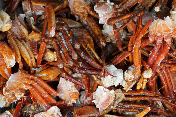 摊位市场货架上陈列的新鲜海鲜图片下载