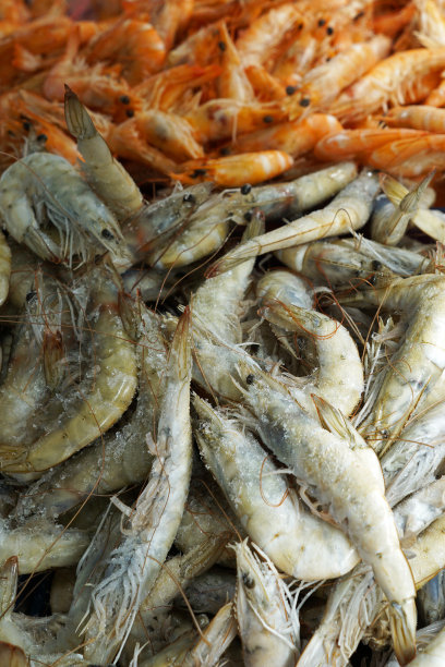 摊位市场货架上陈列的新鲜海鲜图片下载