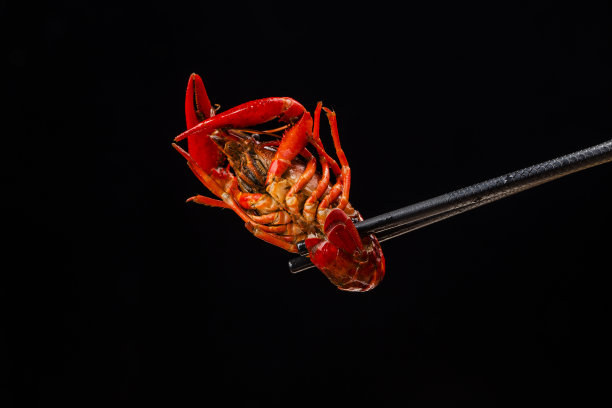 麻辣小龙虾小龙虾食物中餐甲壳纲红色小龙虾图片下载