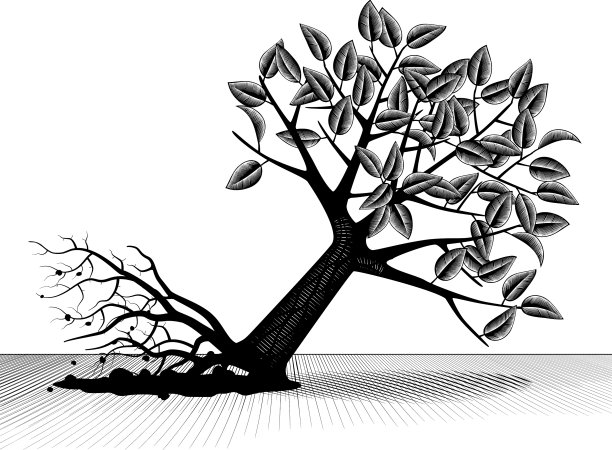 带着叶子连根拔起和倒下的树图片下载