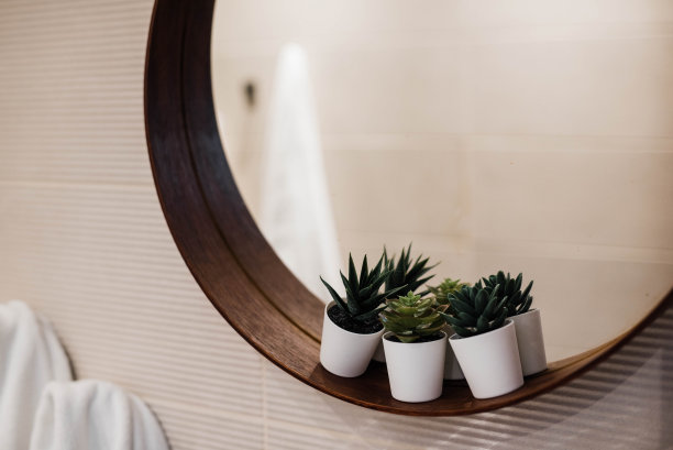 现代镜像股票照片。图片下载