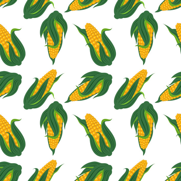 矢量玉米植物无缝图案、模板。图片下载