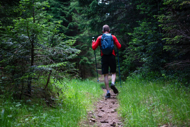 一个年轻人在森林深处徒步旅行图片下载