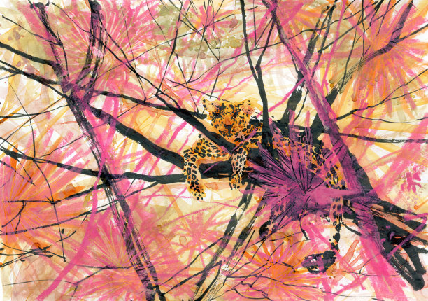 一只豹猫在丛林的一根树枝上休息。图片下载