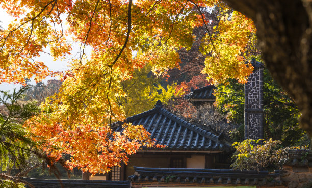 无登山的秋景。图片下载