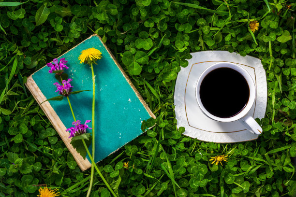 在夏天或春天的早晨，在绿色的草地上，一本带着野花的旧绿皮书和一杯咖啡图片下载