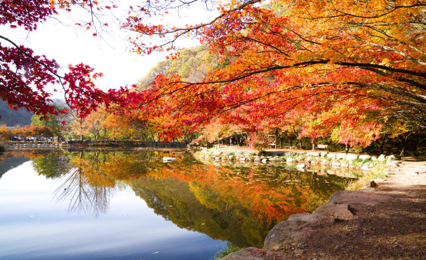 图为长城白杨寺的秋叶。图片下载