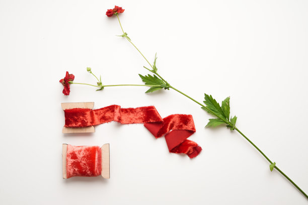 红色丝绒丝带，线轴上，白底红花图片下载