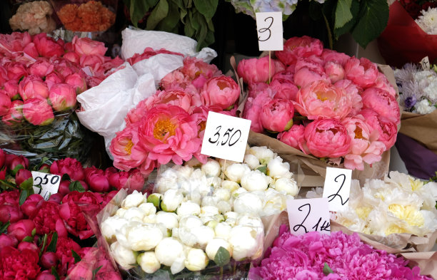 鲜花市场上的一束新鲜牡丹。销售柜台上的鲜花。花店里五颜六色的花束，还有价签。图片下载