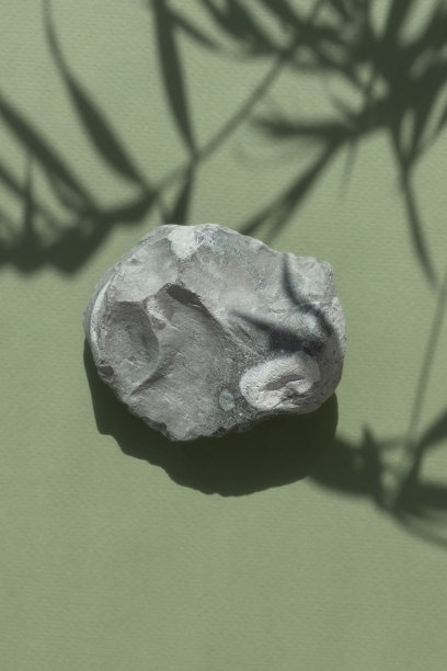 绿色背景上的灰色石质讲台，棕榈树的叶子投下阴影。展示产品推广、美容、自然生态化妆品。图片下载