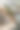 俄罗斯特维尔- 2021年11月10日。家新年的室内。一棵活圣诞树和厨房里的木楼梯。温馨的家庭度假氛围，阁楼设计的房间，日光，绿色的圣诞树用彩灯装饰图片下载
