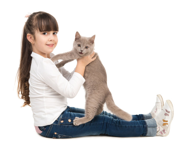 手里拿着猫的可爱小女孩图片下载