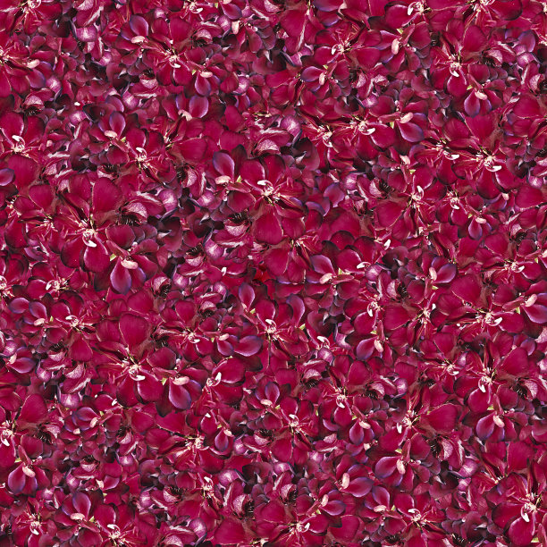 红色马尔文图案随机图案图片下载