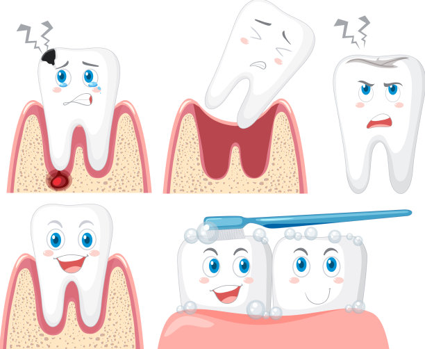 所有类型的牙齿在白色的背景图片下载