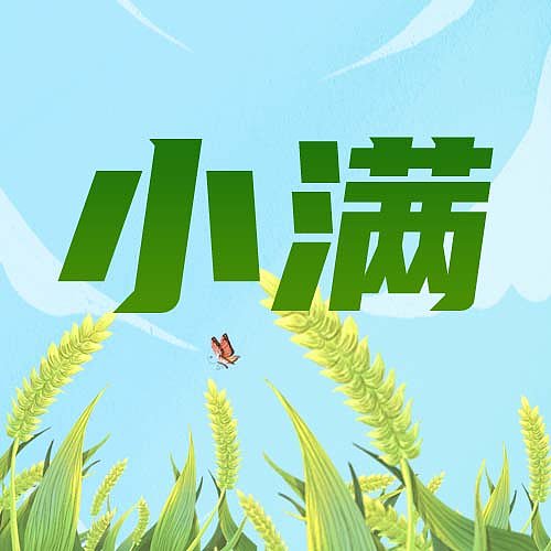 绿色节气小满插画小学生公众号次图图片下载