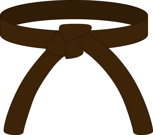 空手道带深棕色，颜色孤立在白色上图片下载