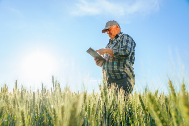 苍穹背景下，在麦田里浏览平板电脑的成熟工人图片下载