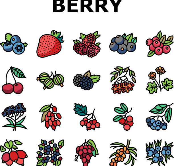 浆果美味和维他命食品图标集图片下载