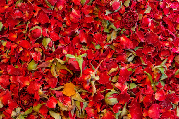 宏观特写背景纹理干玫瑰花瓣图片下载