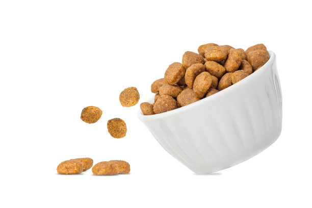 动物性食物在白色的碗中隔离在白色。图片下载