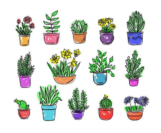 室内盆栽植物和花卉图片下载