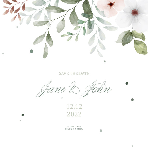 水彩花和叶子画在白色图片下载