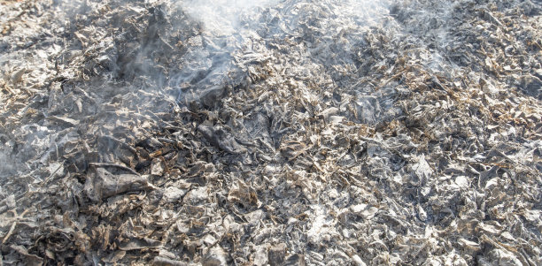 燃烧后剩下的灰烬和木炭图片下载