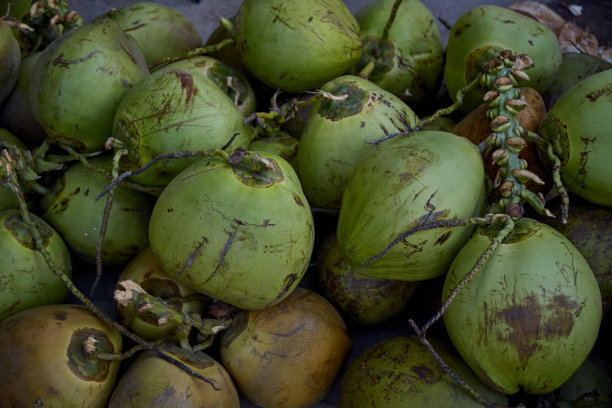 新鲜有机绿色椰子背景图片下载