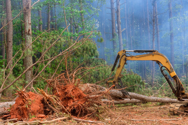 这台拖拉机正在连根拔起树木，砍伐森林，为建造新房子做准备图片下载