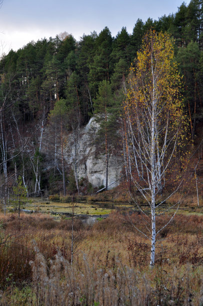 秋天的照片在村庄、公路、田野和森林中冲刺图片下载