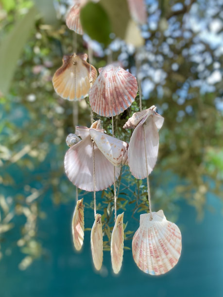 花园配件图片下载