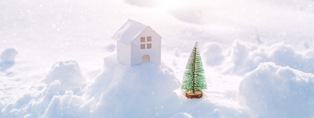 用一棵云杉装饰白色的房子，在雪地里晒太阳，自由自在图片下载