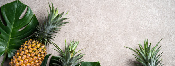 新鲜菠萝与热带树叶在灰色的背景。图片下载