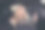 相当积极兴奋的女孩肖像驾驶汽车坐在前排手指享受播放列表图片下载