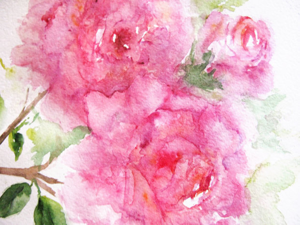 水彩粉红色的花牡丹玫瑰花卉组成植物油漆调色板刷油漆刷手创作艺术绘画照片图片下载
