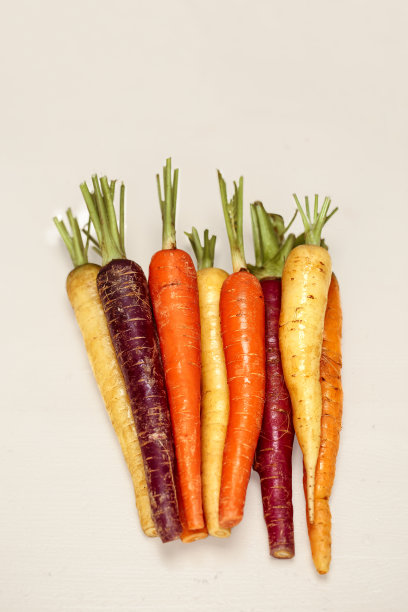 不同颜色的有机胡萝卜-紫色，白色，橙色在灰色的背景图片下载