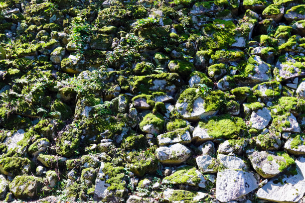 古老的青苔石墙纹理。灿烂的晴天照片。图片下载