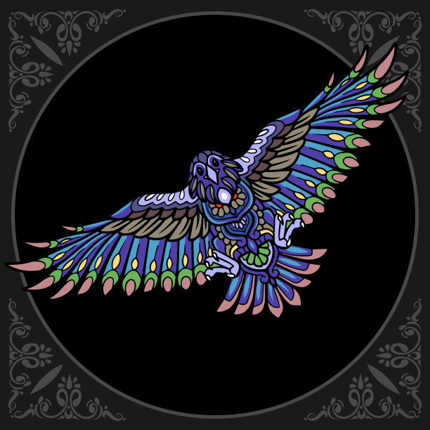 色彩斑斓的乌鸦鸟曾angle艺术孤立在黑色背景上图片下载