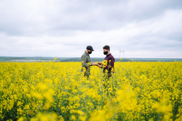 农民们戴着无菌口罩，戴着药片，在田间讨论农业问题。图片下载