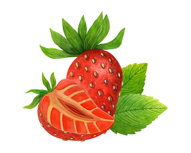 成熟的夏天草莓水彩插图孤立在白色背景。新鲜红莓，对半切开，绿叶多汁。手绘甜园或野果。食品剪贴画的卡片，海报，网络图片下载