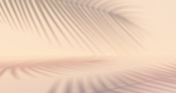 浅橙色的背景与棕榈叶阴影图片下载