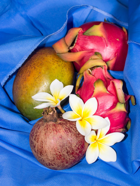 静物生活的各种热带和奇异的水果图片下载