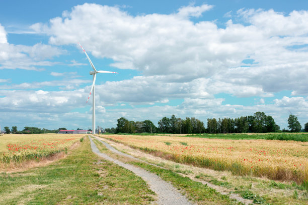 绿色能源。风车。未来的能源。图片下载