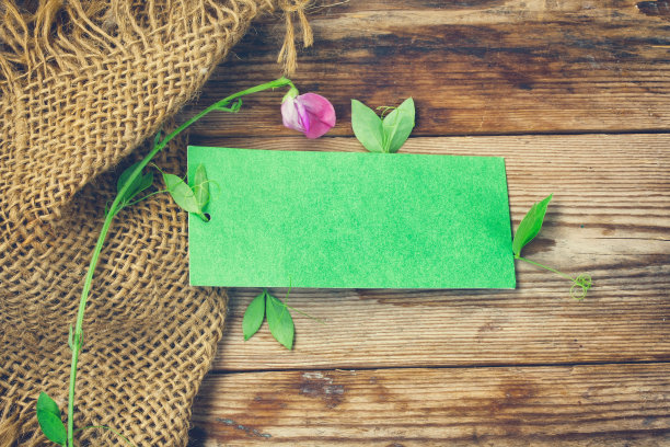 一朵甜豌豆花，空白的绿纸标签，粗麻布图片下载