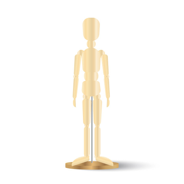 现实的图标人体模型在白色背景图片下载