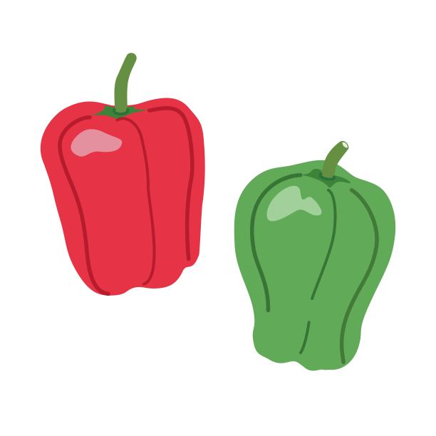 辣椒和辣椒粉的插图图片下载