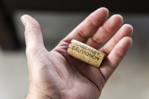 这名男子手持赤霞珠葡萄制成的葡萄酒软木塞图片下载
